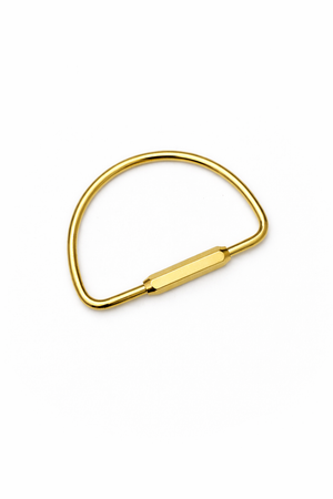 Golden D Buckle